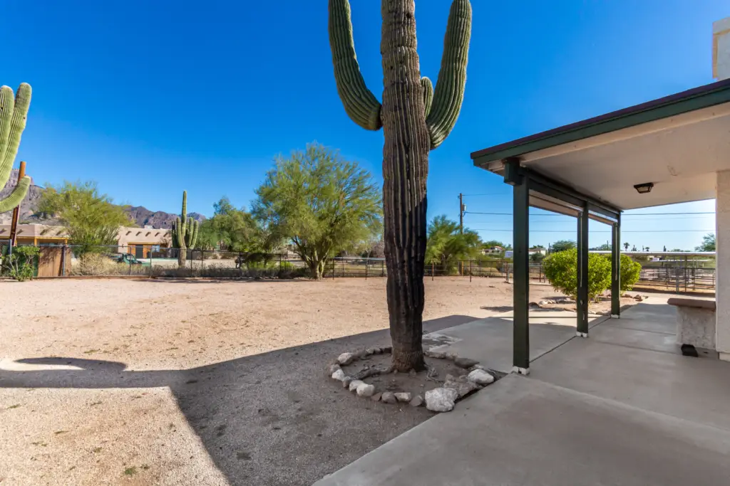 Apache Junction Property Management